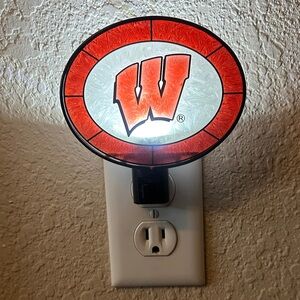Stained Glass Wisconsin Badger Night Light